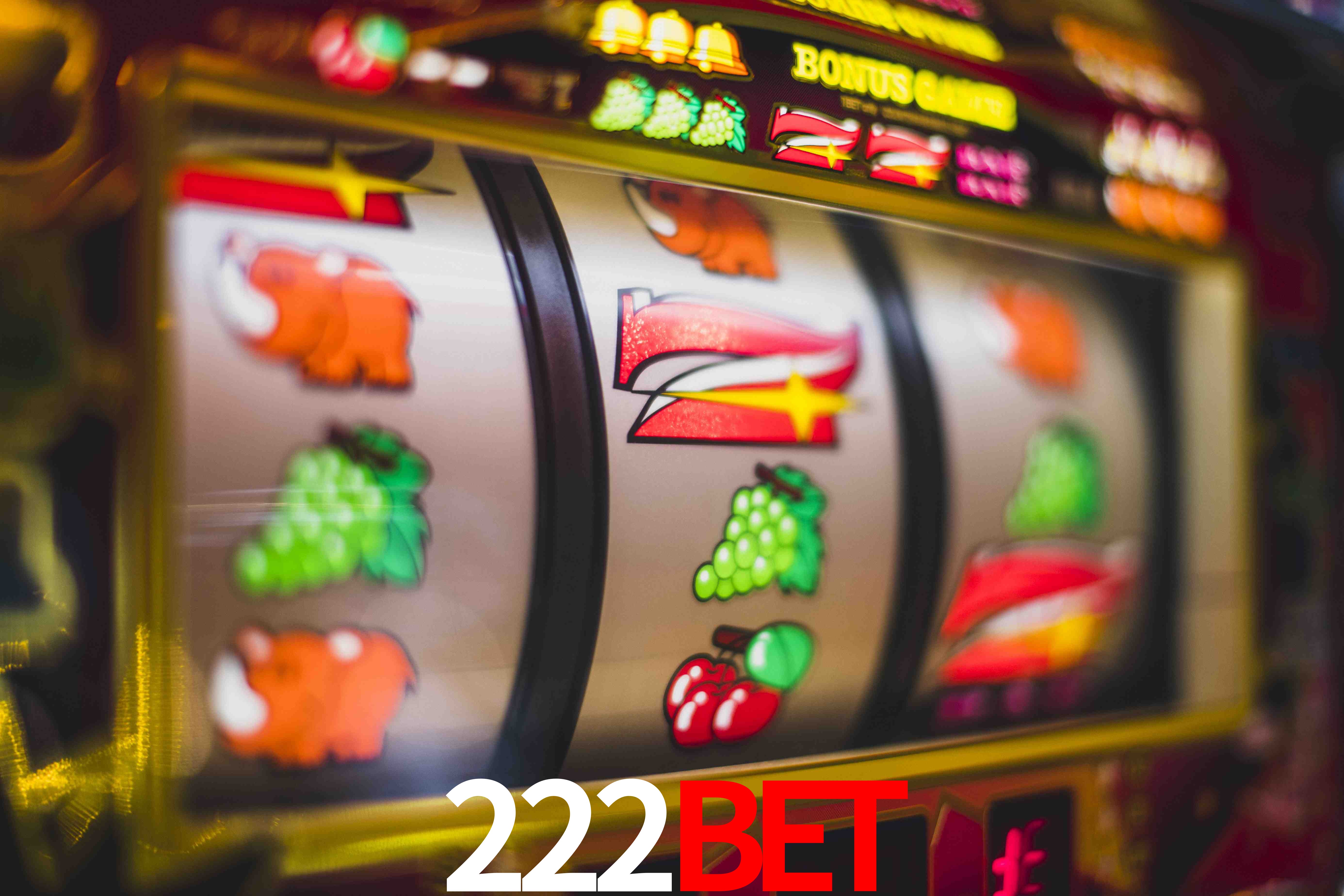 VIP Casino 222bet